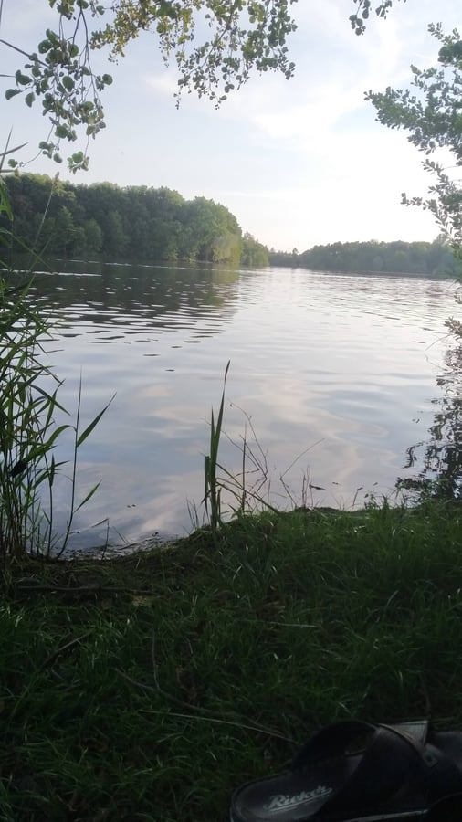 Přírodní koupaliště Poděbrady
