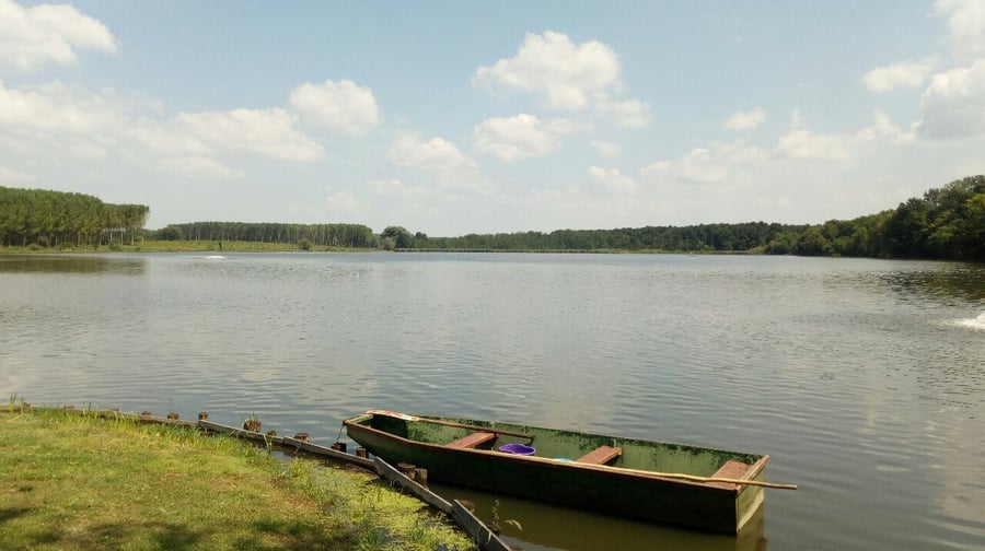 Rybník