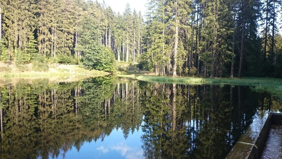 Rumpoltův  Rybnîk