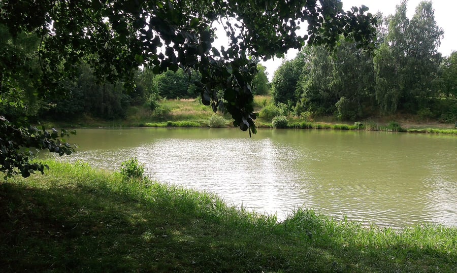 rybník Šístý
