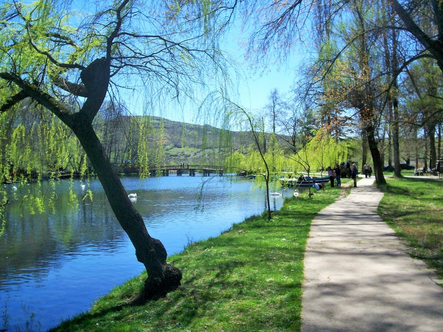 Pogradec
