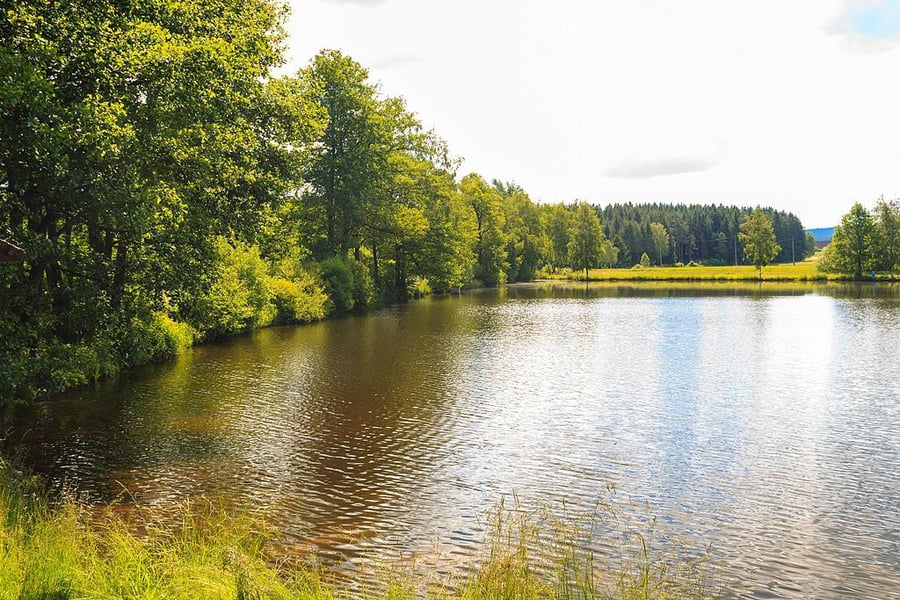Kuchyně