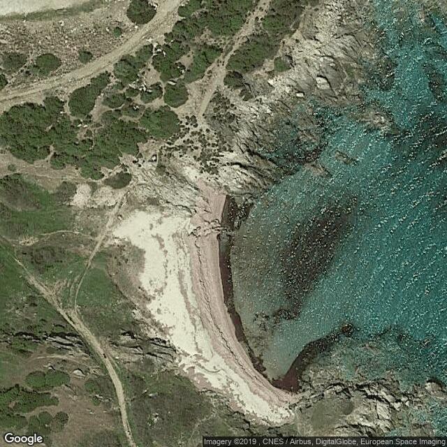 Sarti