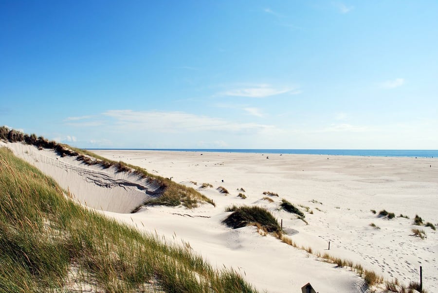 Amrum