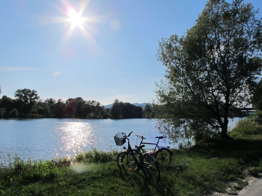 New Danube