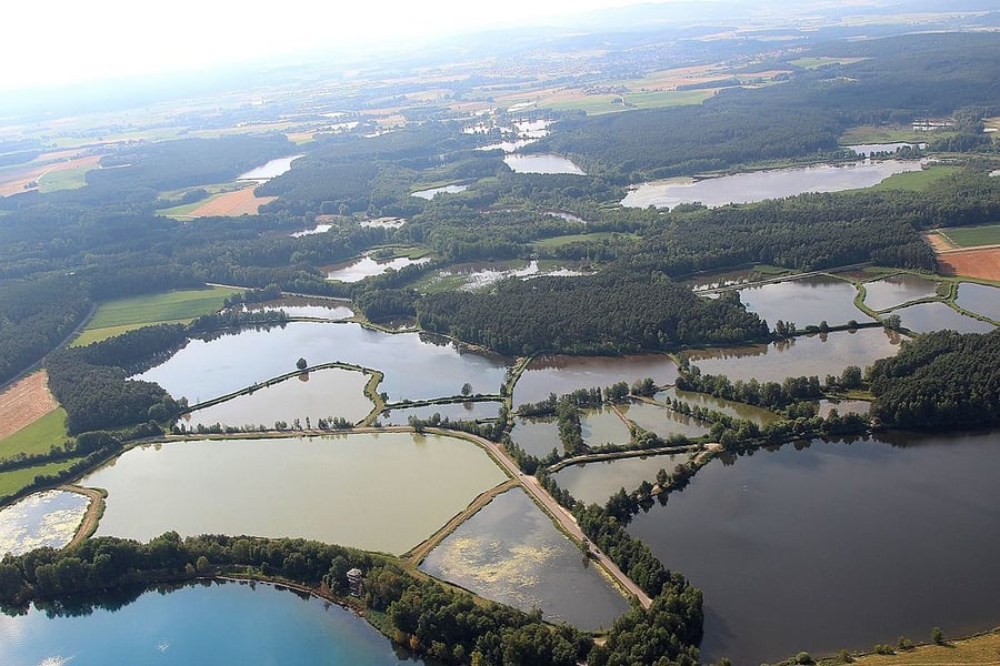 Murner See