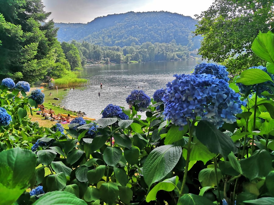 Lago di Monate