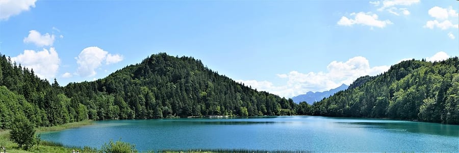 Alatsee