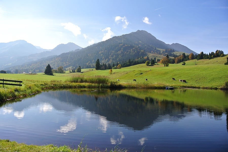 Floschen