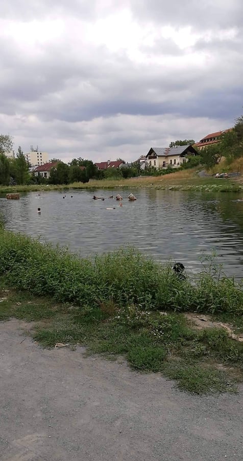 Rybník Terezka