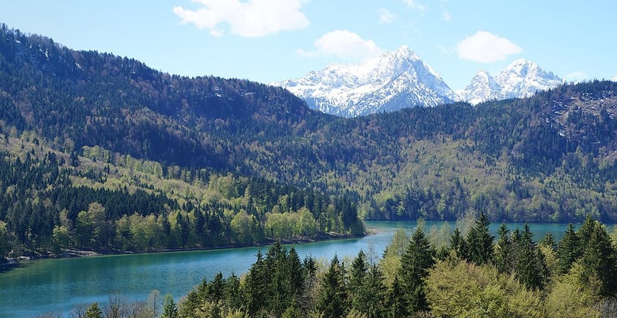Alpsee - Hohenschwangau