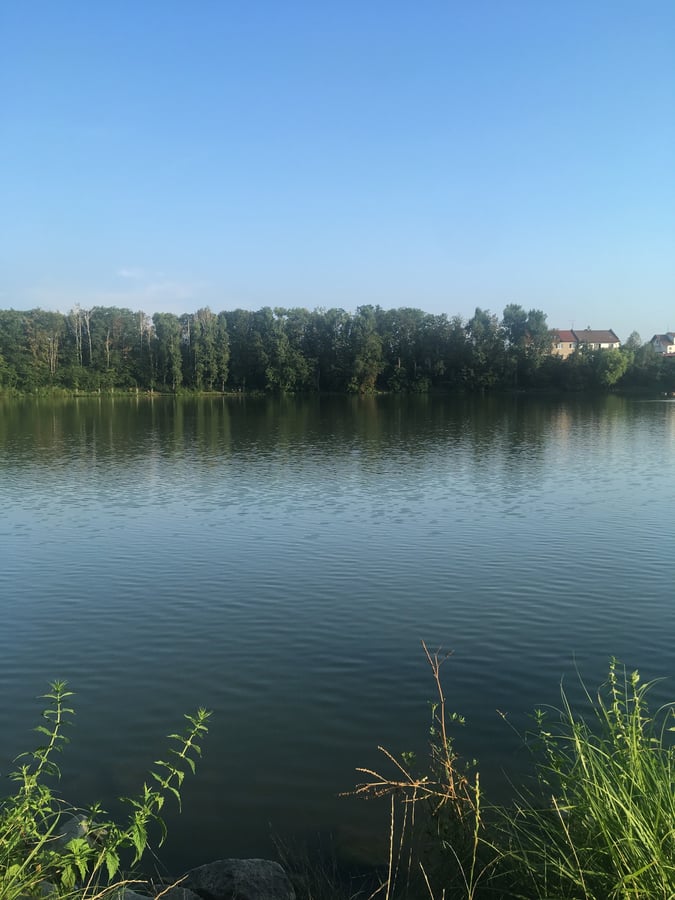 Ponětovický rybník