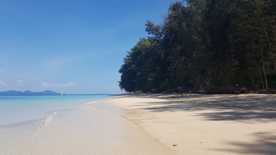 Bamboo Beach