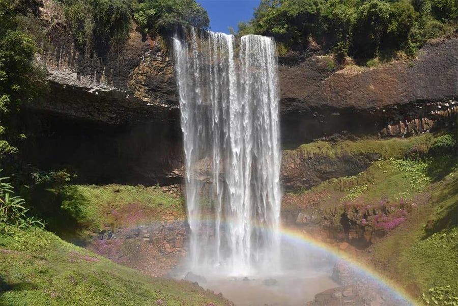 Tad Tayicsua
