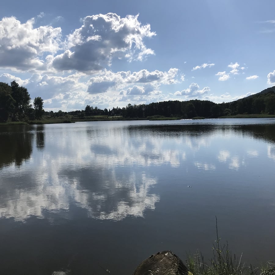 Červený rybník