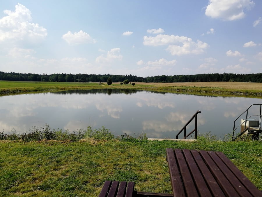 Rybník u Okrouhlé