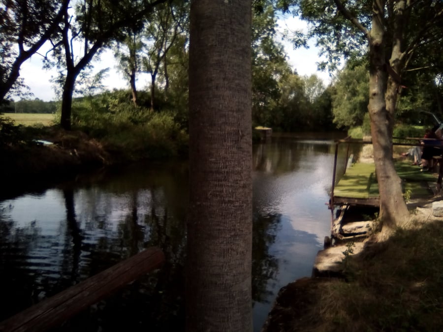 Plovárna Dobřany