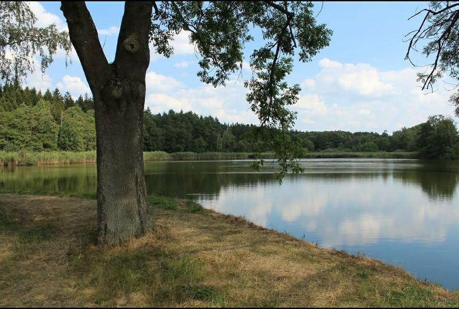 Doležalův rybník