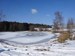 Vavrovecký rybník