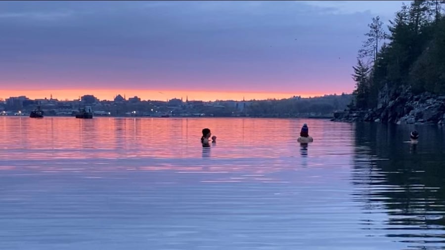 Oakledge cove