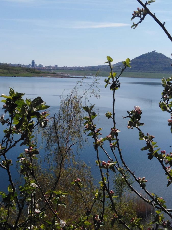 Jezero most
