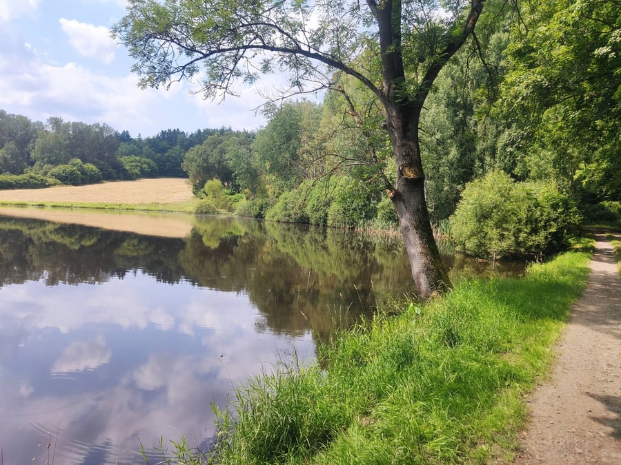 Strážský rybník