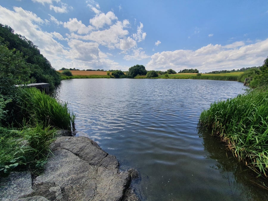 Kloudův rybník (Palečkovy rybníky)