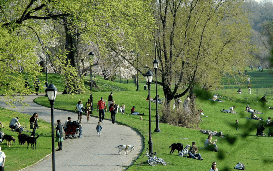 Prospect Park