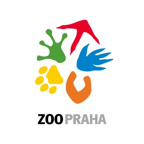 Výběh koní Převalského Zoo Praha