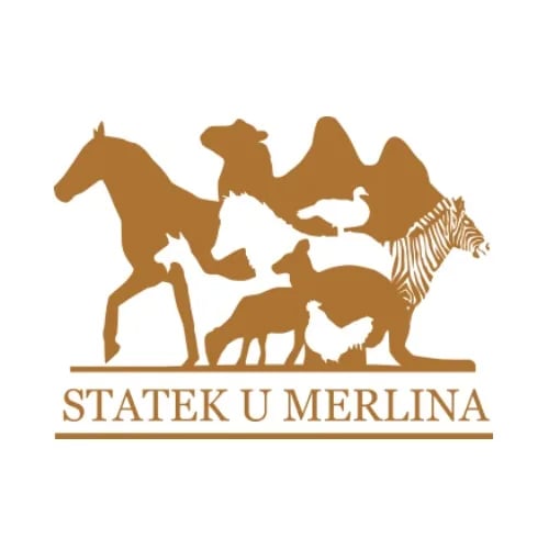 Statek u Merlina