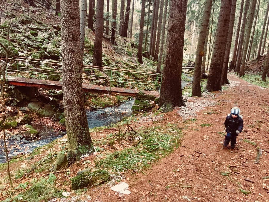 Skály v Údolí řeky Doubravy