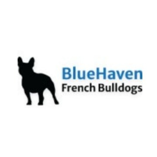 BlueHaven French Bulldogs