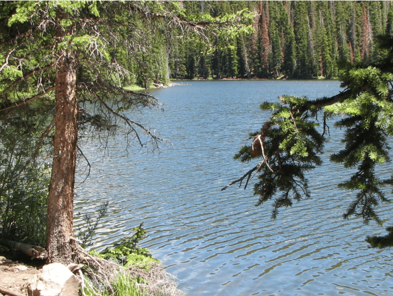 Lake near Latham
