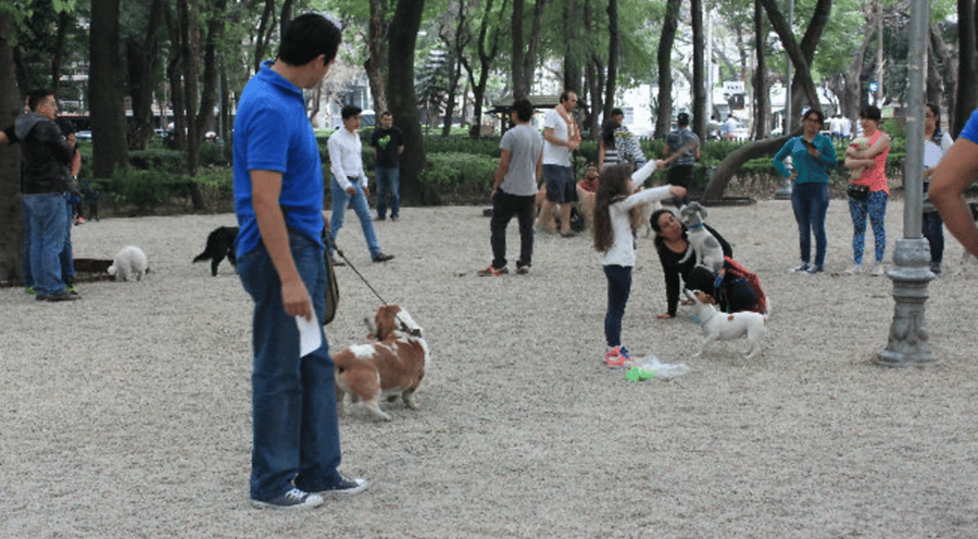 Parque Mexico