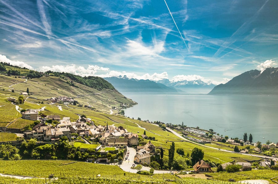Lavaux. Vineyard Terraces
