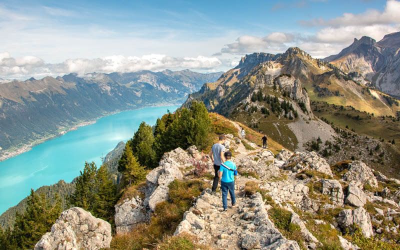 Schynige Platte Panorama Trail