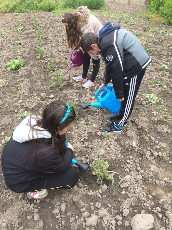 Bácsalmási Körzeti Általános Iskola és Alapfokú Művészeti Iskola Madarasi Petőfi Sándor Általános Iskolája és Alapfokú Művészeti Iskolája
