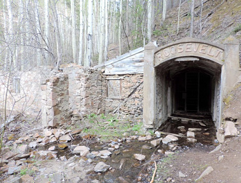 Roosevelt Mine