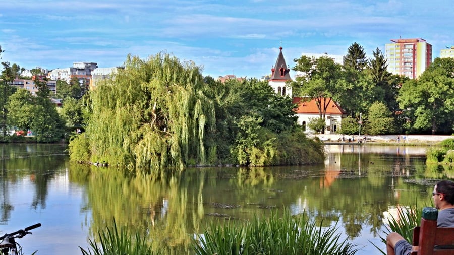 Hamerský rybník