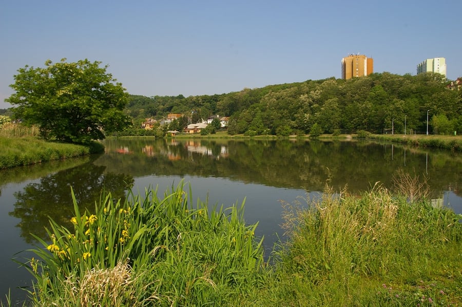 Lehovec-Čihadla, Kyje, Smetanka