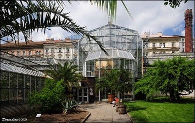 Botanická zahrada Univerzity Karlovy