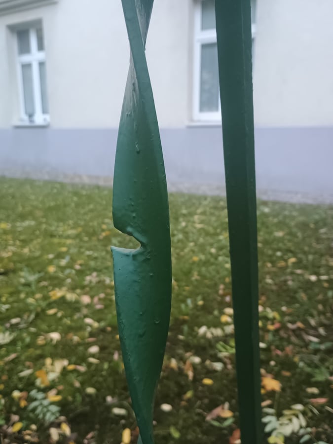 Blumentálska plot