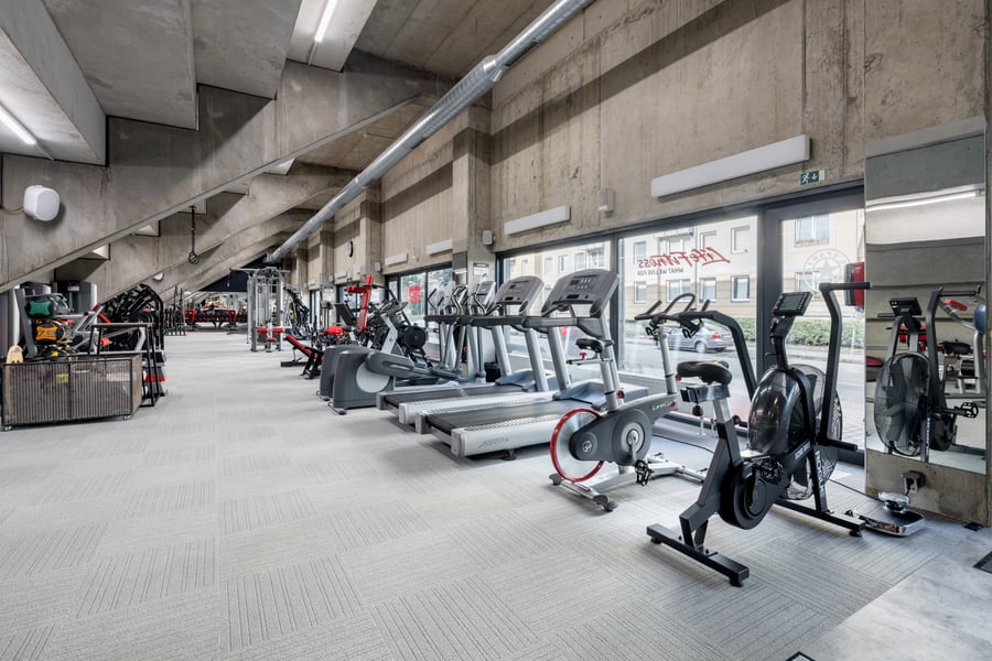 Hammer Strength Fitness Sparta