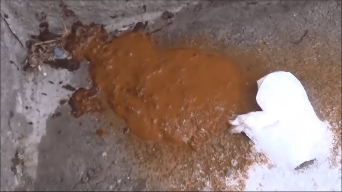 Margita Stehlíková - mládežnický koláč