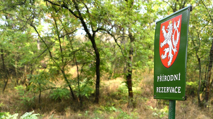Český svaz ochránců přírody