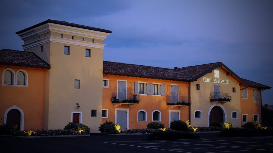 Cantine e Frantoio Avanzi