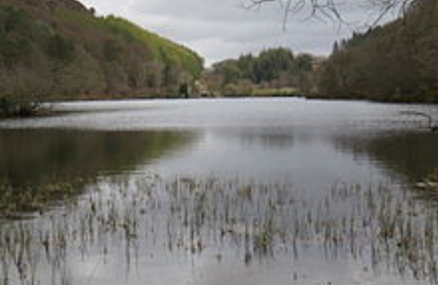 Llyn Mair