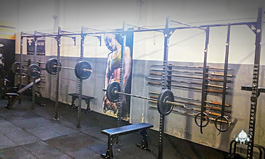 MAXIMUS GYM