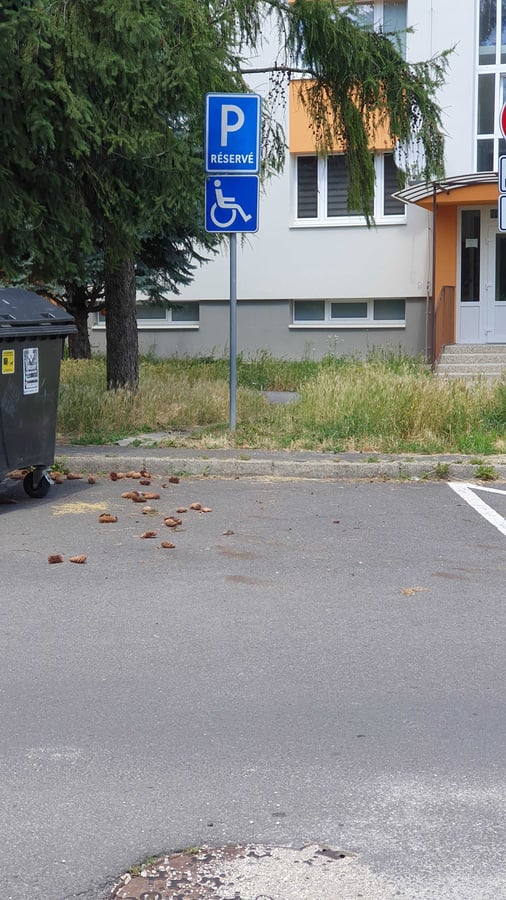 Parkovisko 