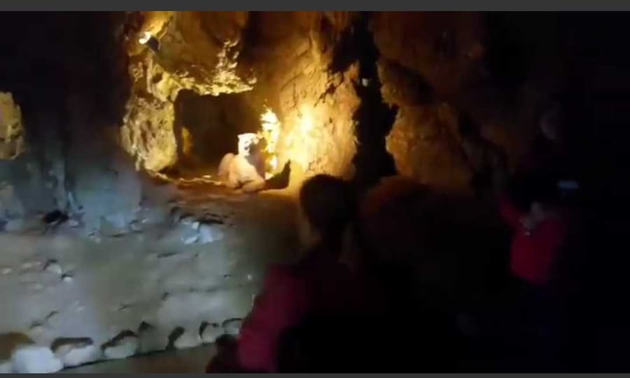 Jaskyňa Výpustek 